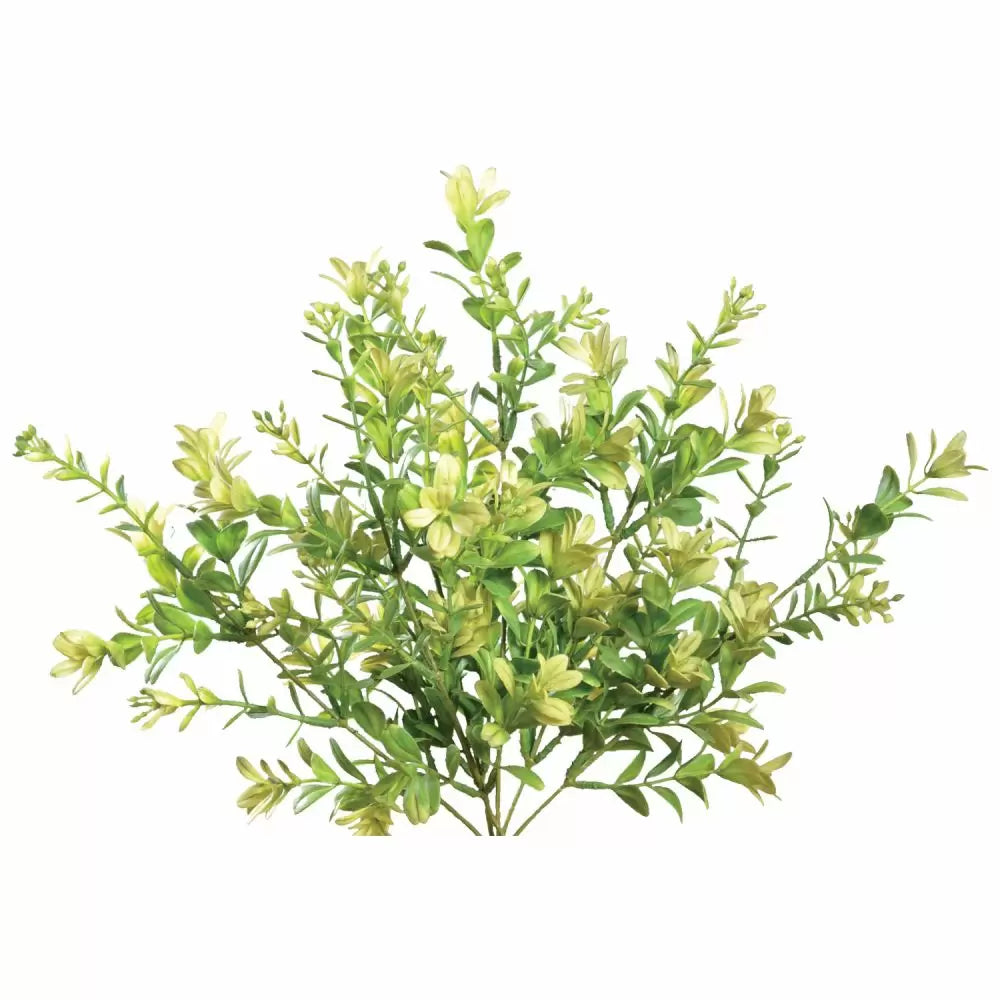 12" Boxwood Bush - Artificial Greenery