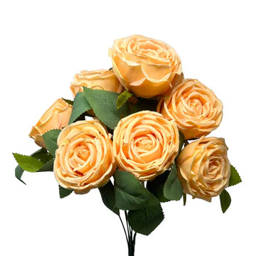 16" Cabbage Rose Bush - Multiple Colors