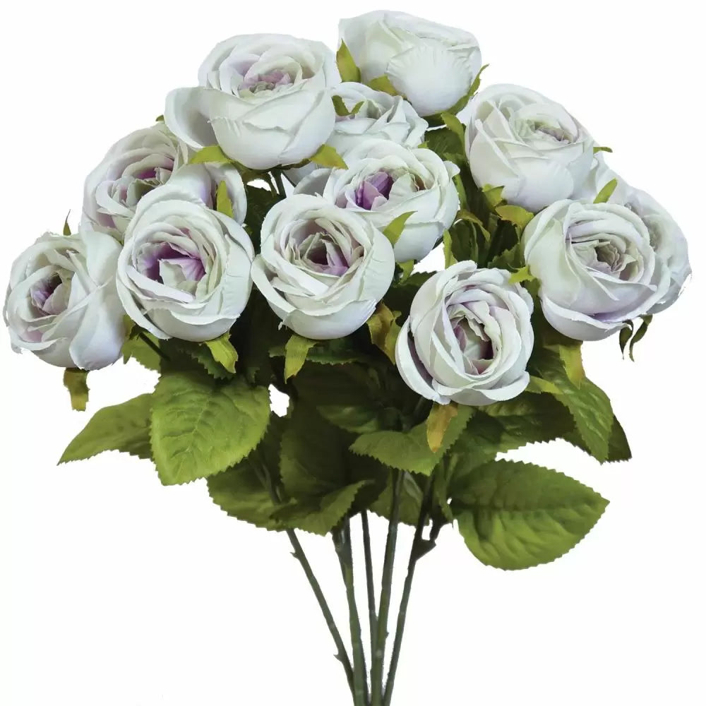 15" Mini Cabbage Rose Bush