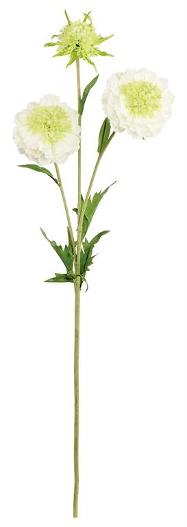 30" Natural Touch Realistic Scabiosa Spray