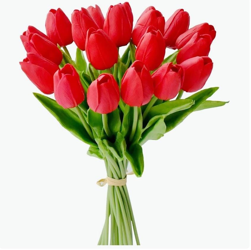 Real Touch Spring Tulip Custom Wreath - Made to Order in Multiple Color Options Stuffs n Things by JD