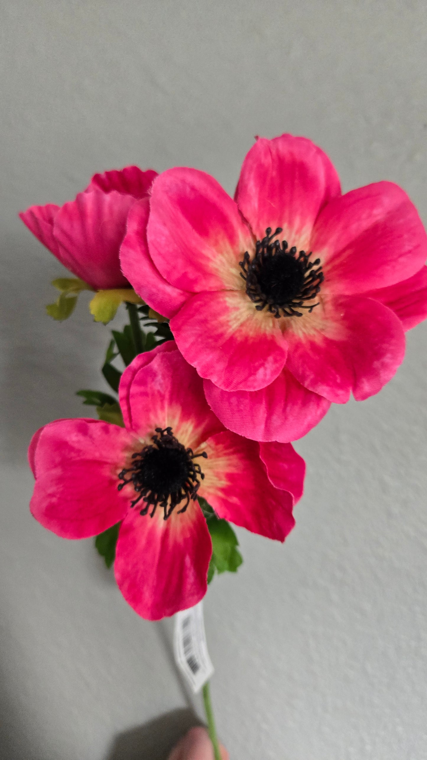 Artificial Anemone Stems