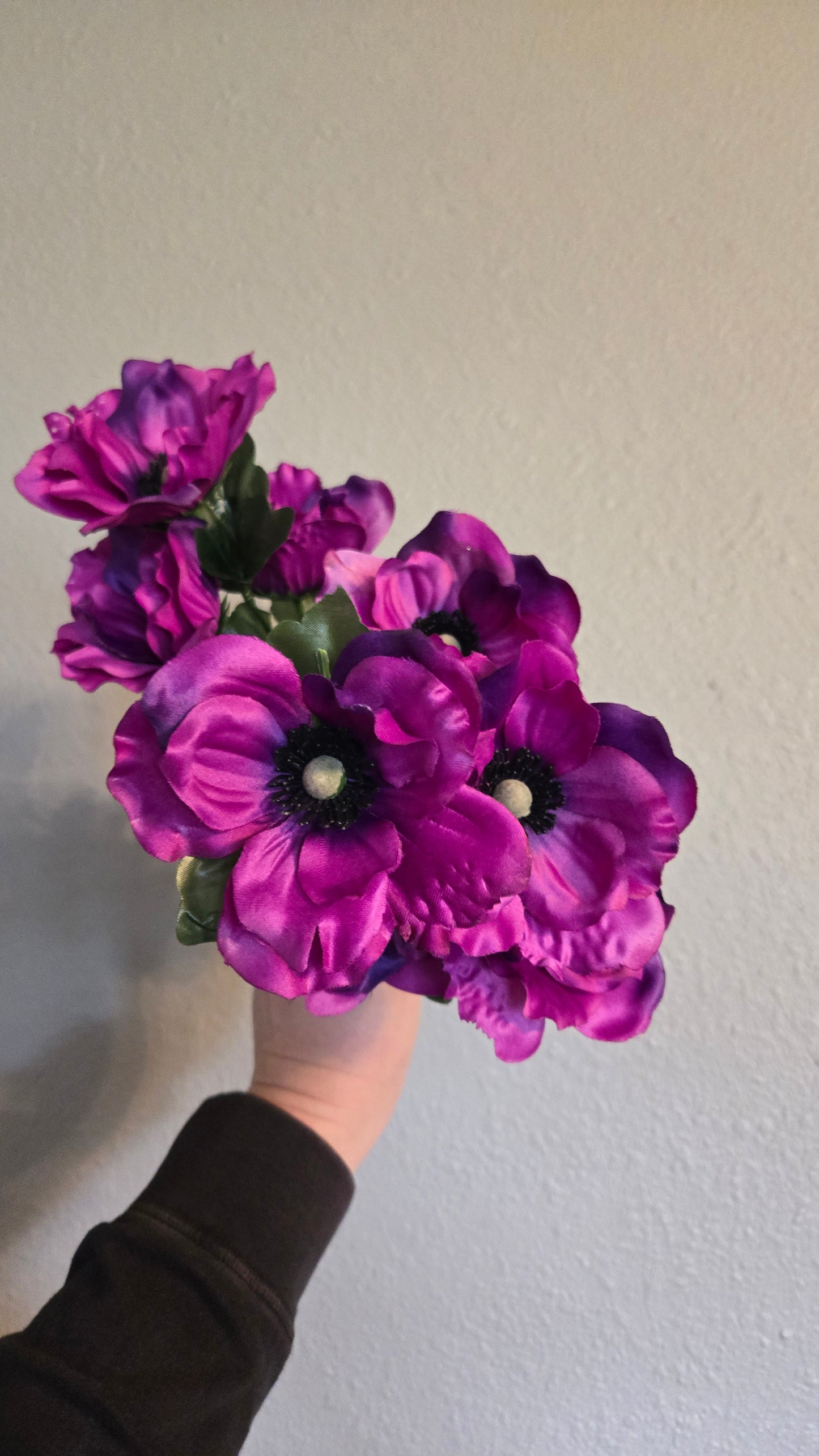 Anemone Bush