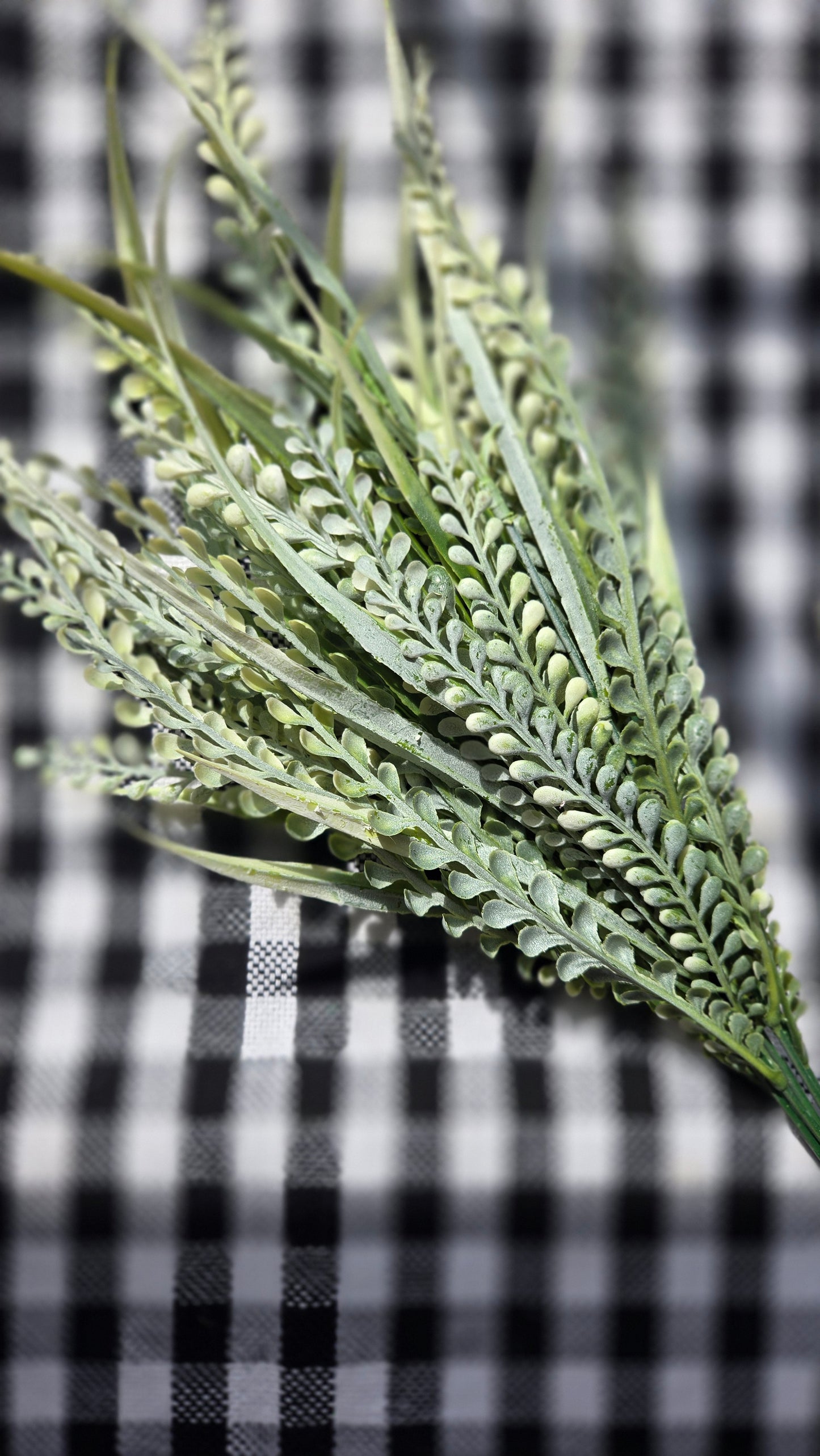 Bead Grass/Button Fern & Grass Filler Bush