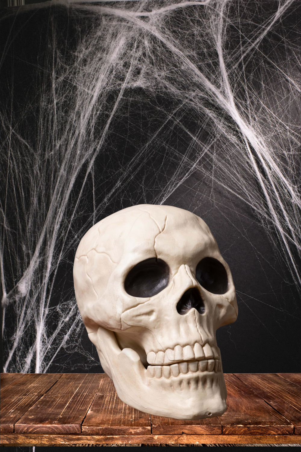 10” Skull – Moveable Jaw