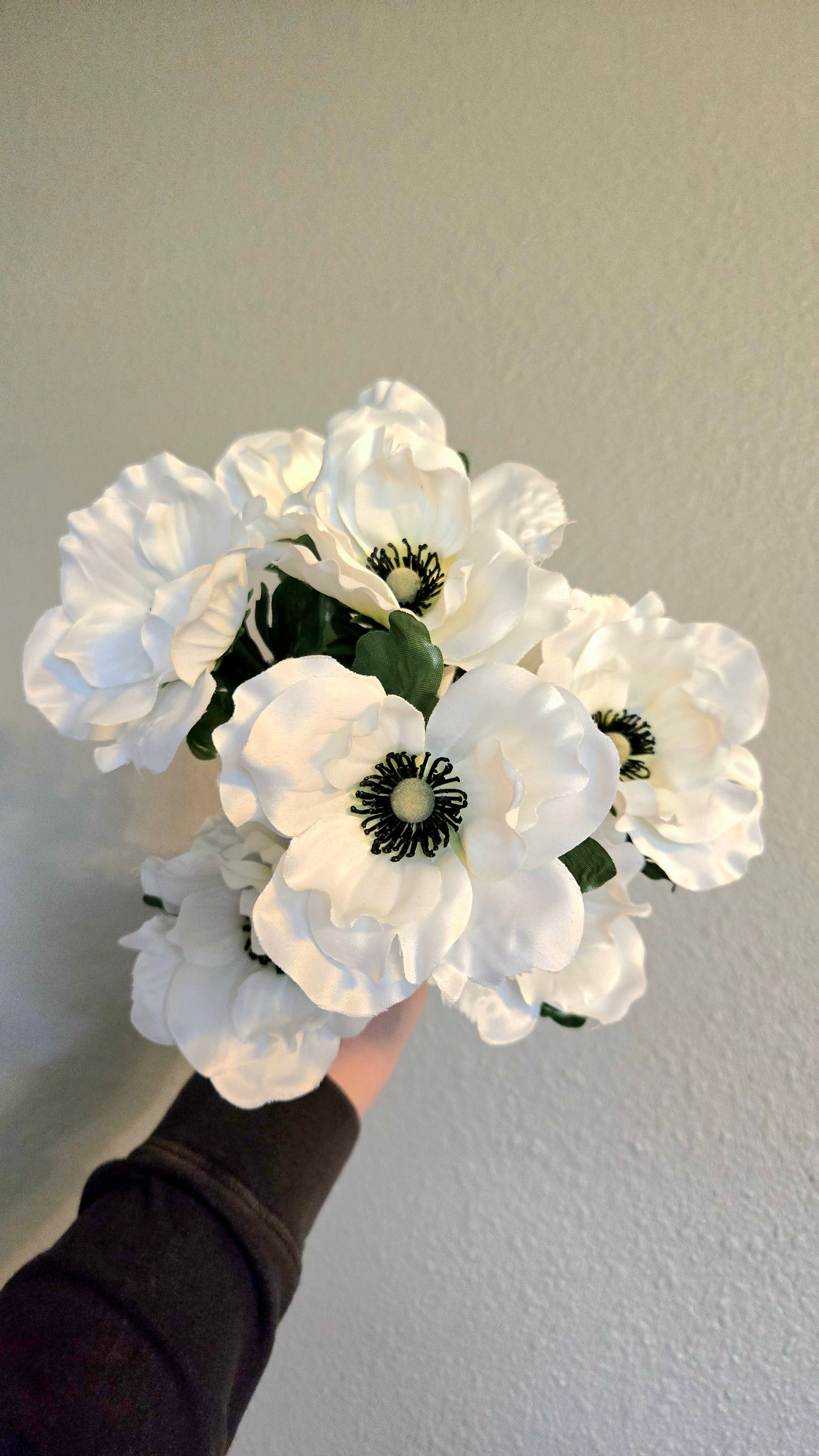 Anemone Bush