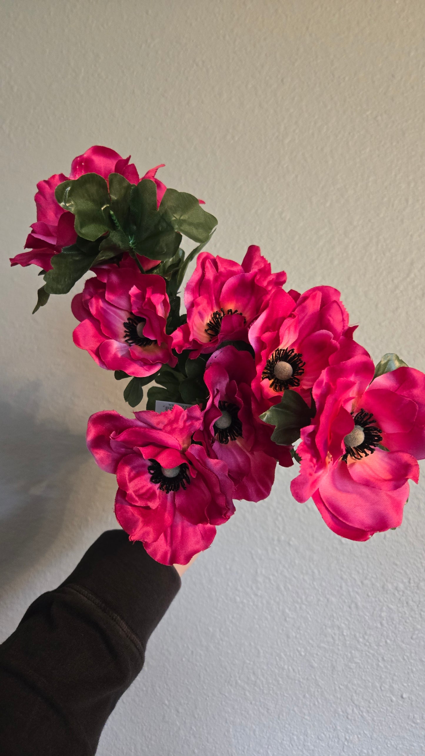 Anemone Bush