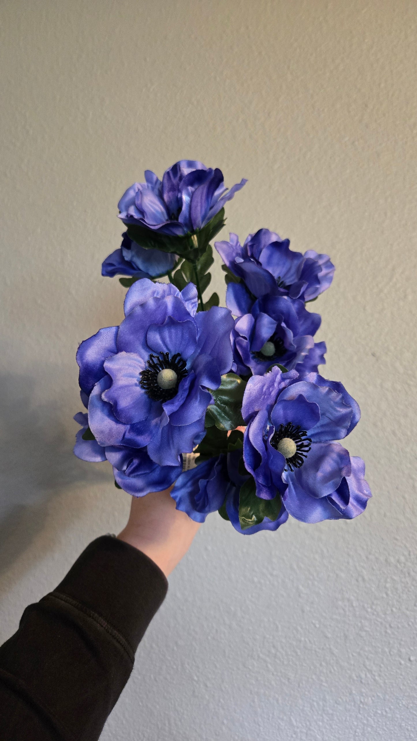 Anemone Bush