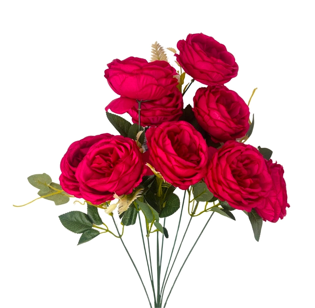 24" English Rose Bush - Multiple Colors