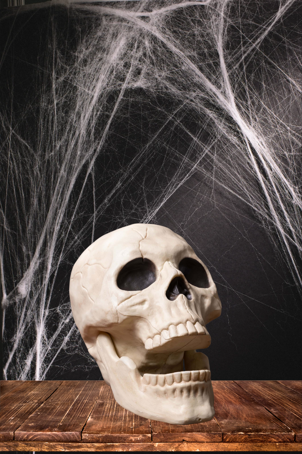 10” Skull – Moveable Jaw