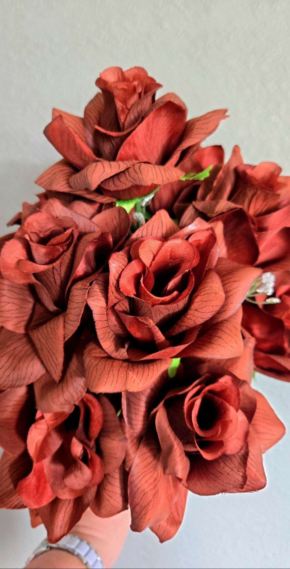 Vein Rose Bush