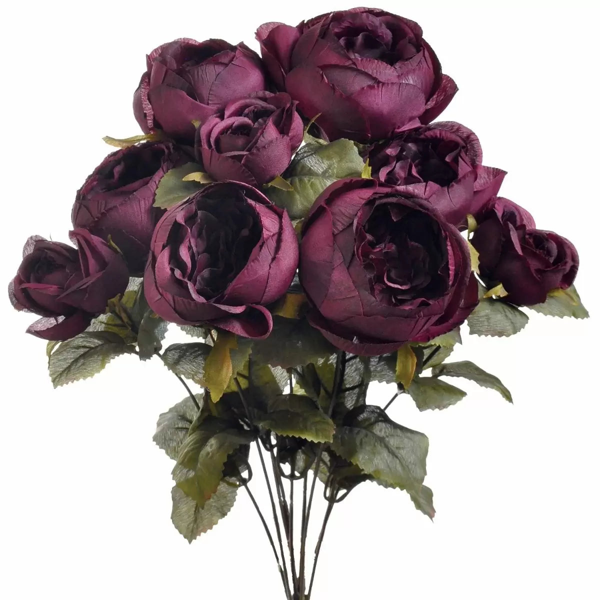 19" Cabbage Rose Bush - Multiple Colors