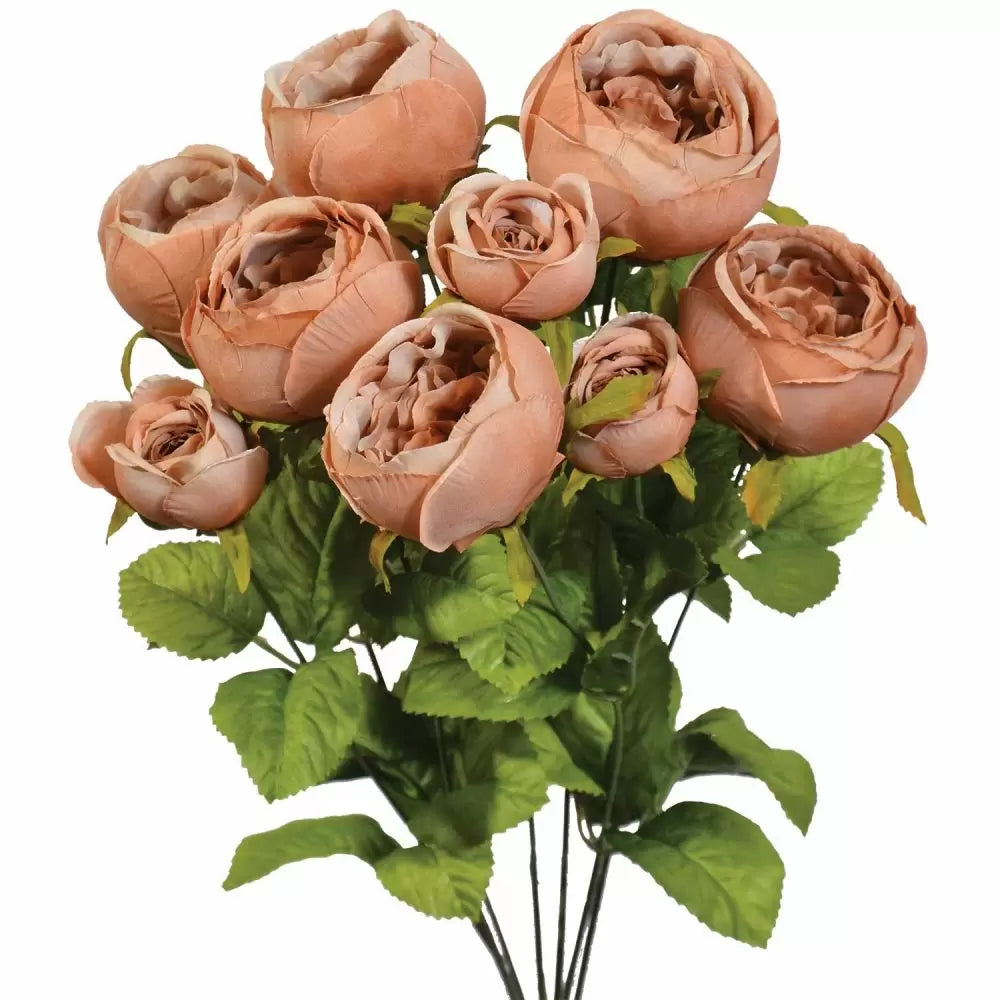 19" Cabbage Rose Bush - Multiple Colors