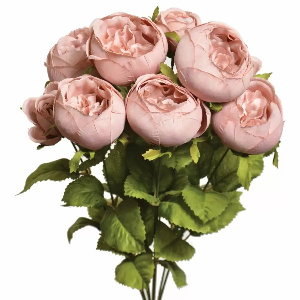 19" Cabbage Rose Bush - Multiple Colors