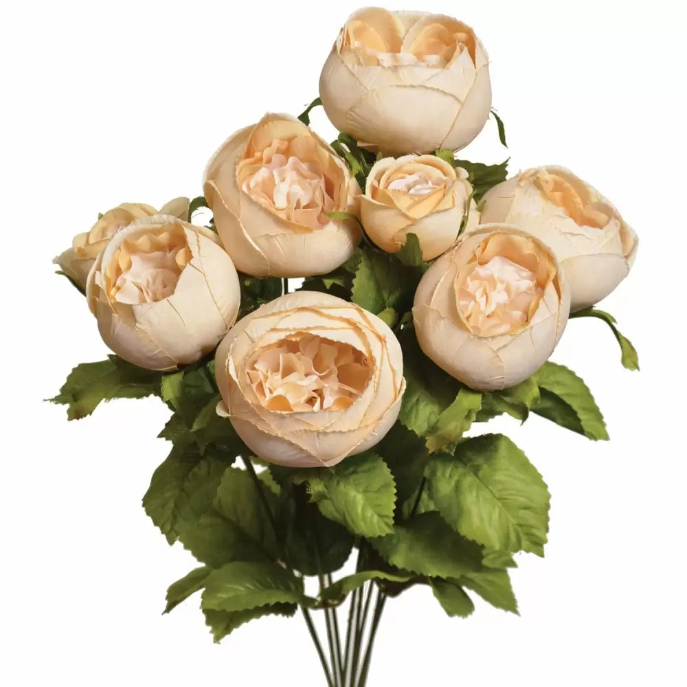 19" Cabbage Rose Bush - Multiple Colors
