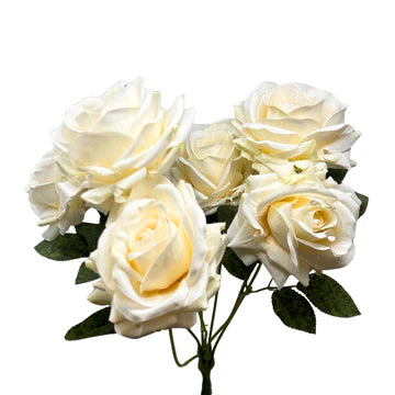 22" Heirloom Diamond Rose Bush