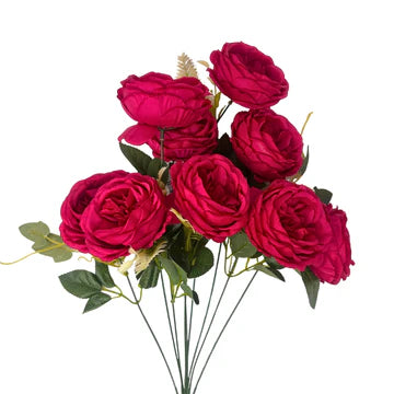 24" English Rose Bush - Multiple Colors