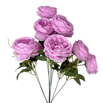 24" English Rose Bush - Multiple Colors
