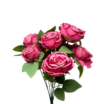 16" Cabbage Rose Bush - Multiple Colors
