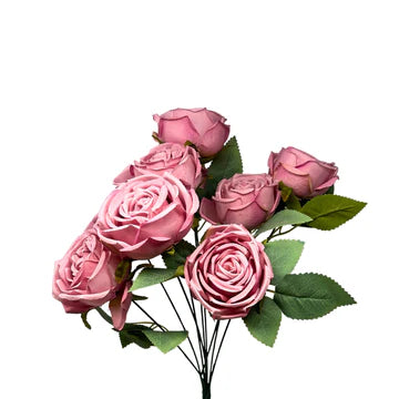 16" Cabbage Rose Bush - Multiple Colors