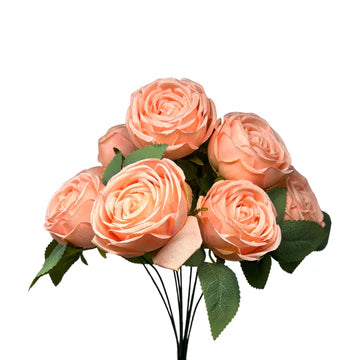 16" Cabbage Rose Bush - Multiple Colors