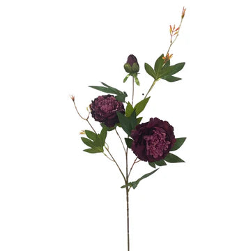 35" Wild Peony Spray