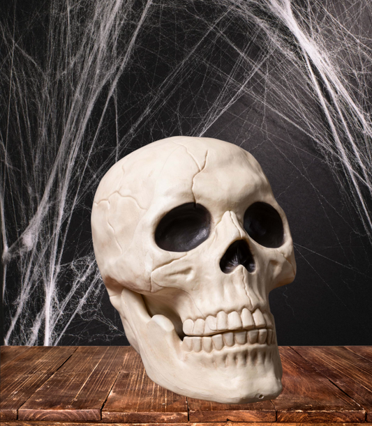 10” Skull – Moveable Jaw