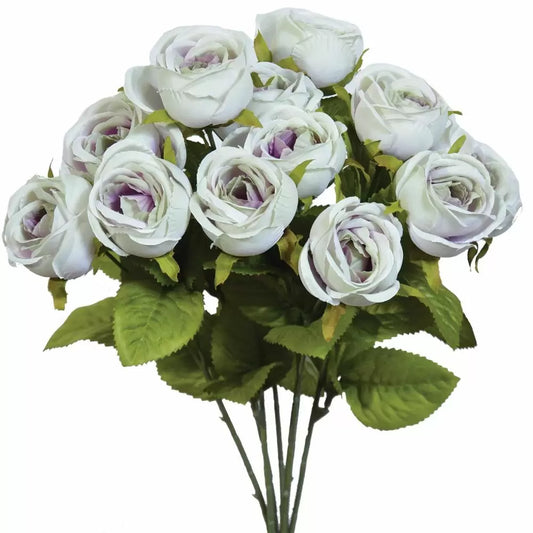 15" Mini Cabbage Rose Bush
