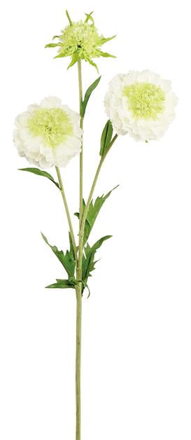 30" Natural Touch Realistic Scabiosa Spray