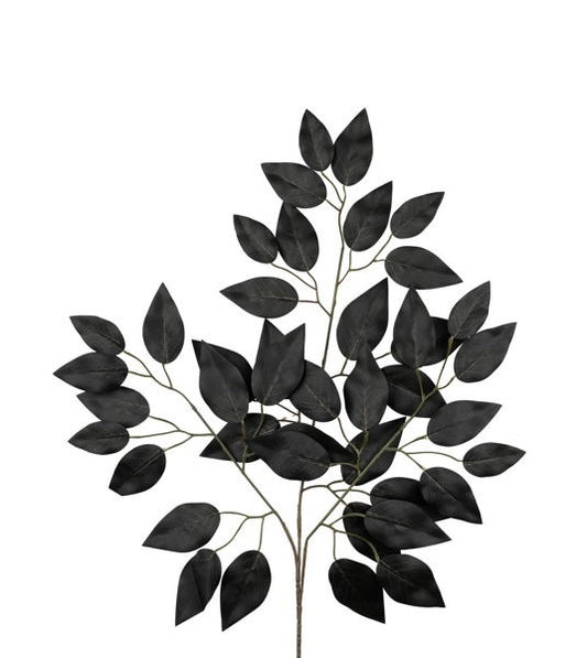Silk Black Ficus Stem or Bundle