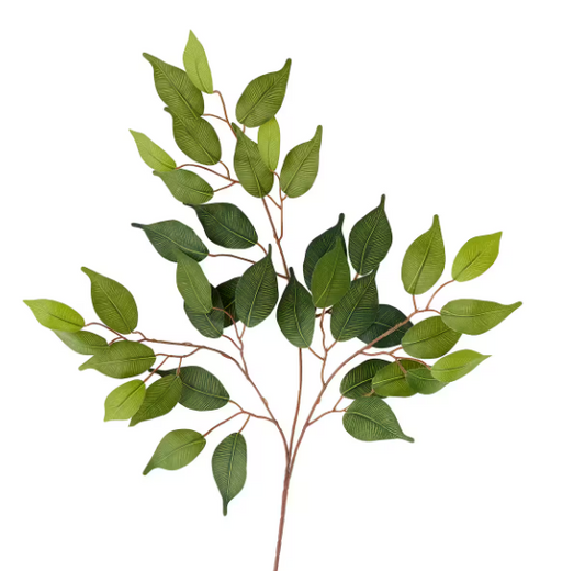 Silk Green Ficus Stem or Bundle