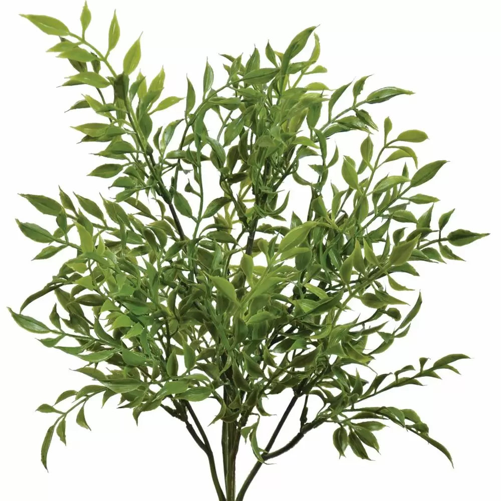 16" Real Touch Italian Ruscus Bush