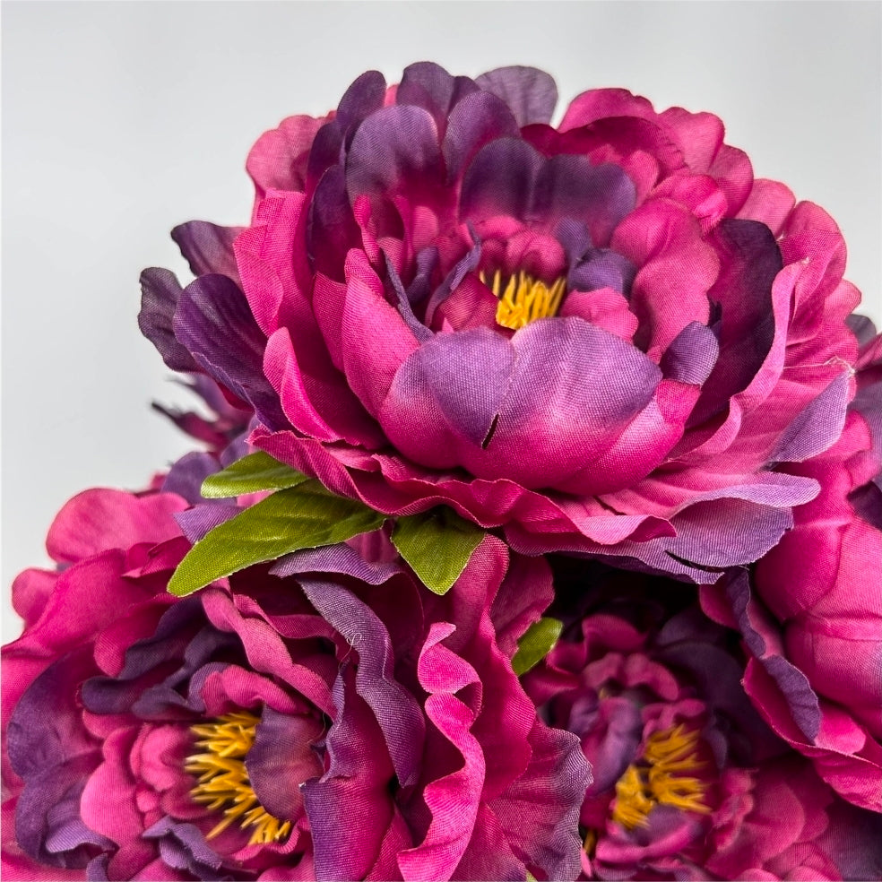 18" Purple Peony Bush