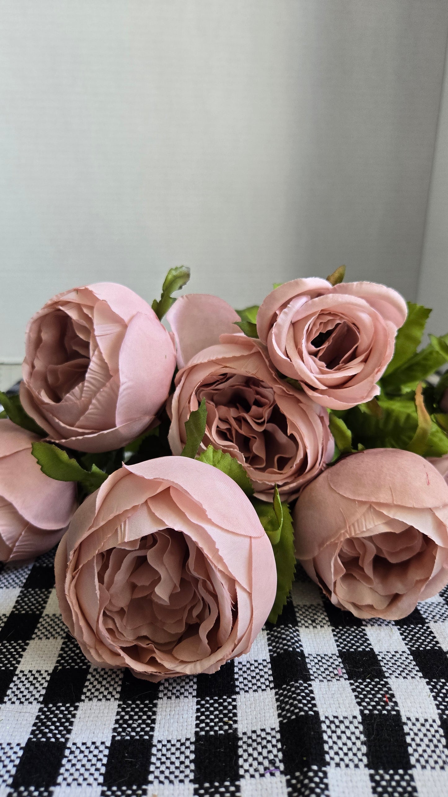 19" Cabbage Rose Bush - Multiple Colors