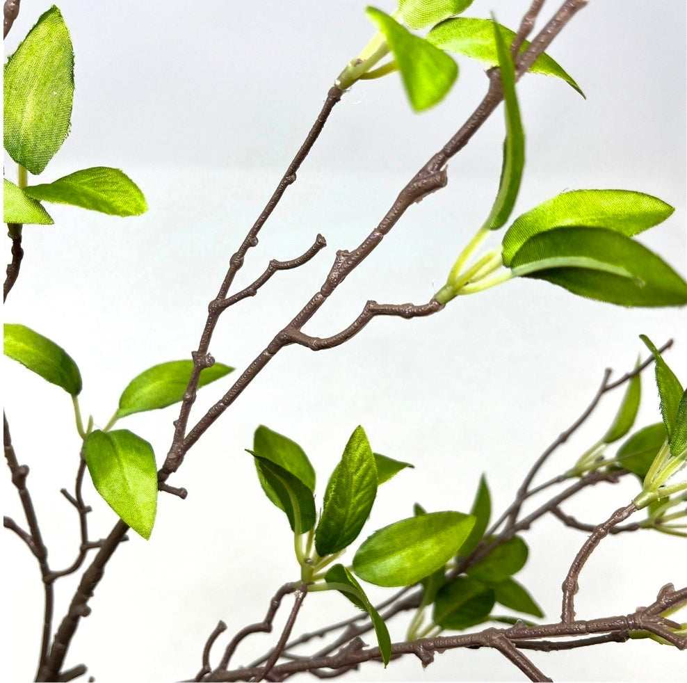 46" Wild Myrtle Branch