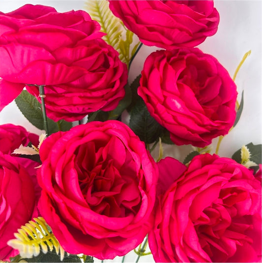 24" English Rose Bush - Multiple Colors