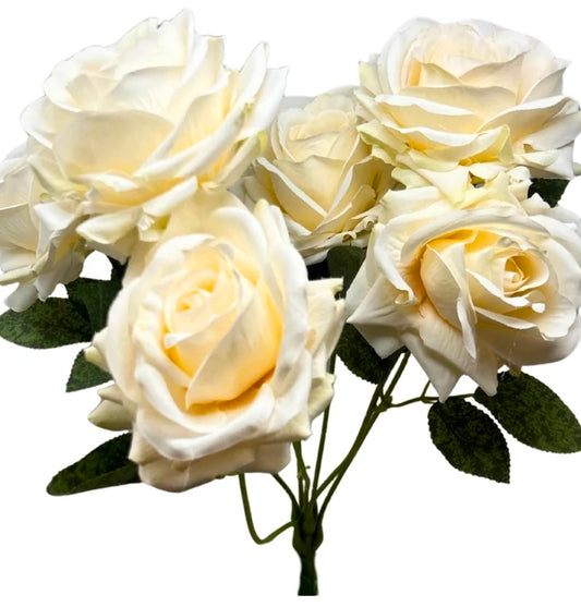 22" Heirloom Diamond Rose Bush