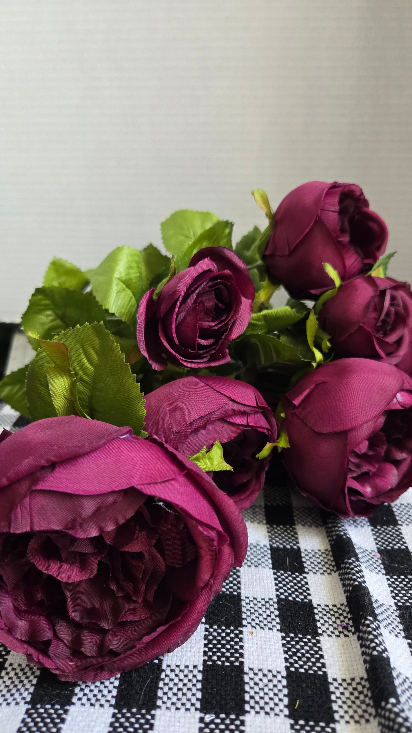 19" Cabbage Rose Bush - Multiple Colors