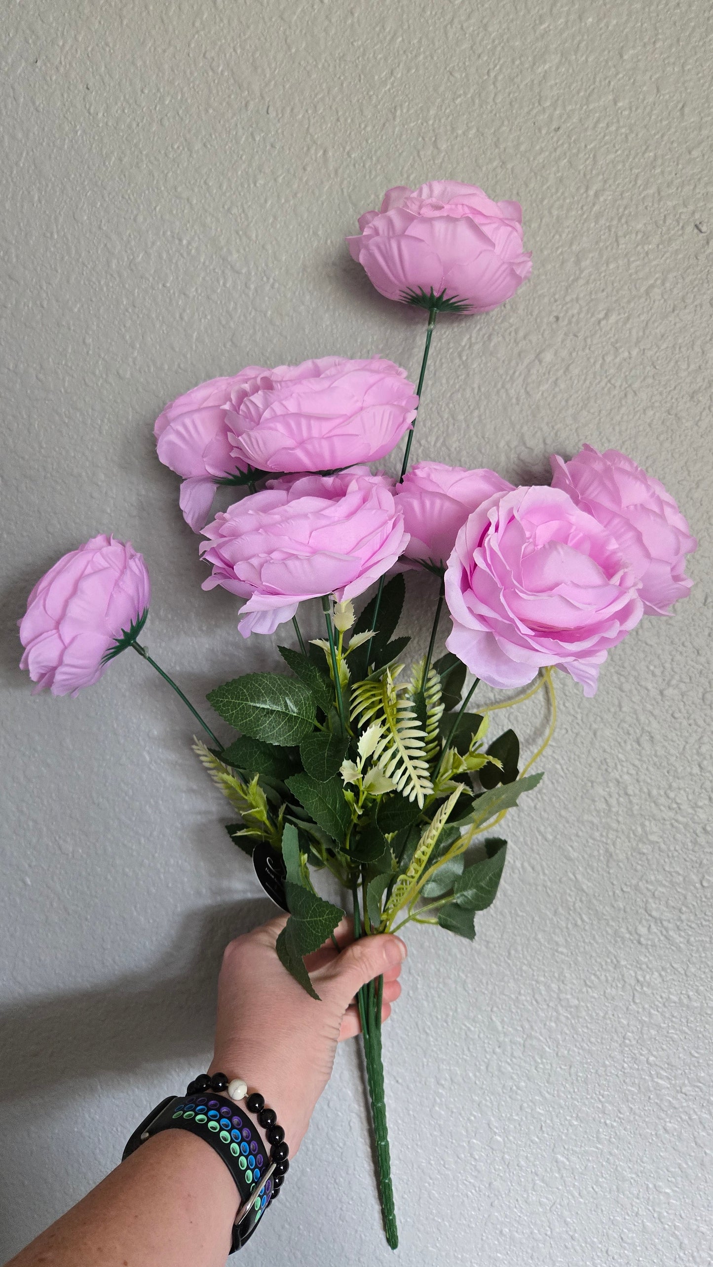 24" English Rose Bush - Multiple Colors