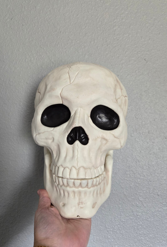 10” Skull – Moveable Jaw