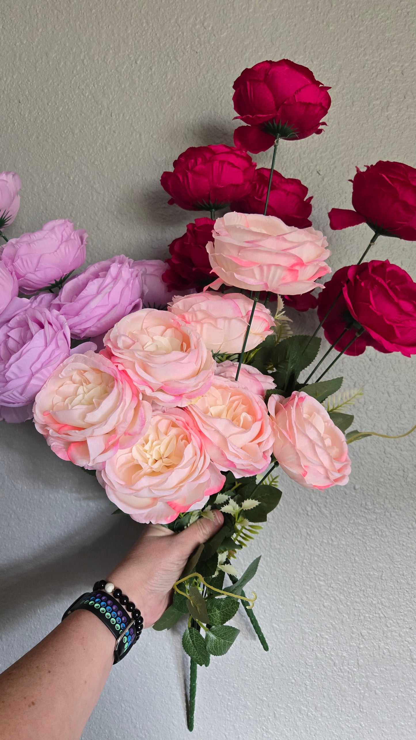 24" English Rose Bush - Multiple Colors
