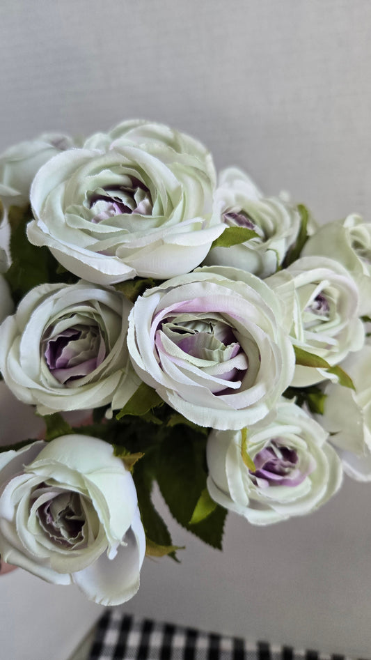 15" Mini Cabbage Rose Bush