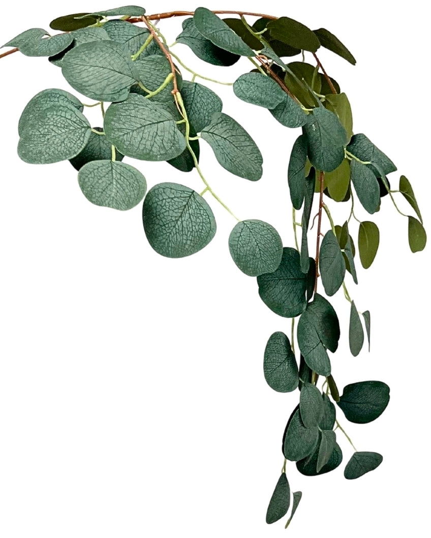 41" Silver Dollar Eucalyptus Spray