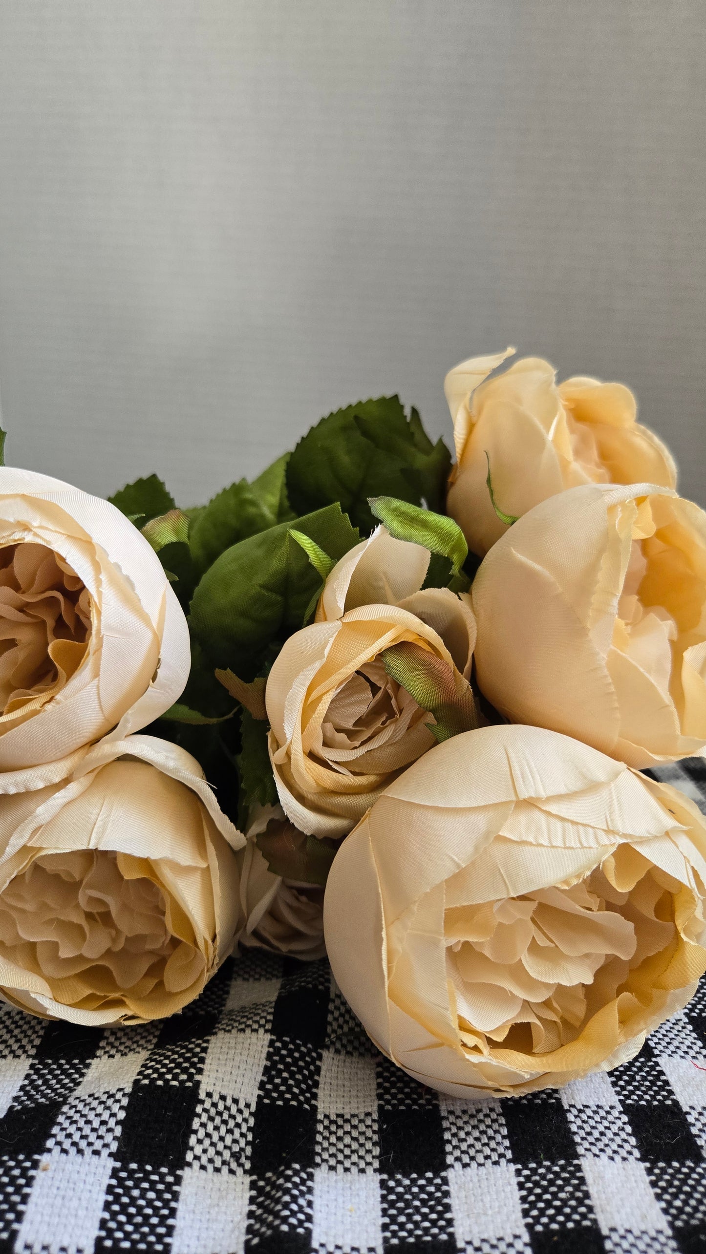 19" Cabbage Rose Bush - Multiple Colors