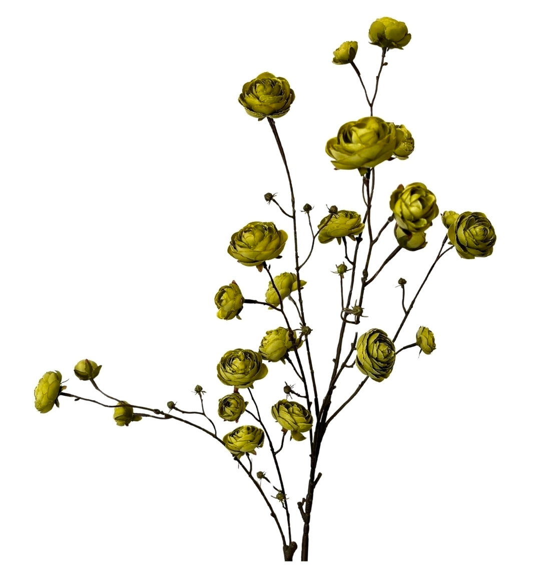 44" Blooming Ranunculus Branch