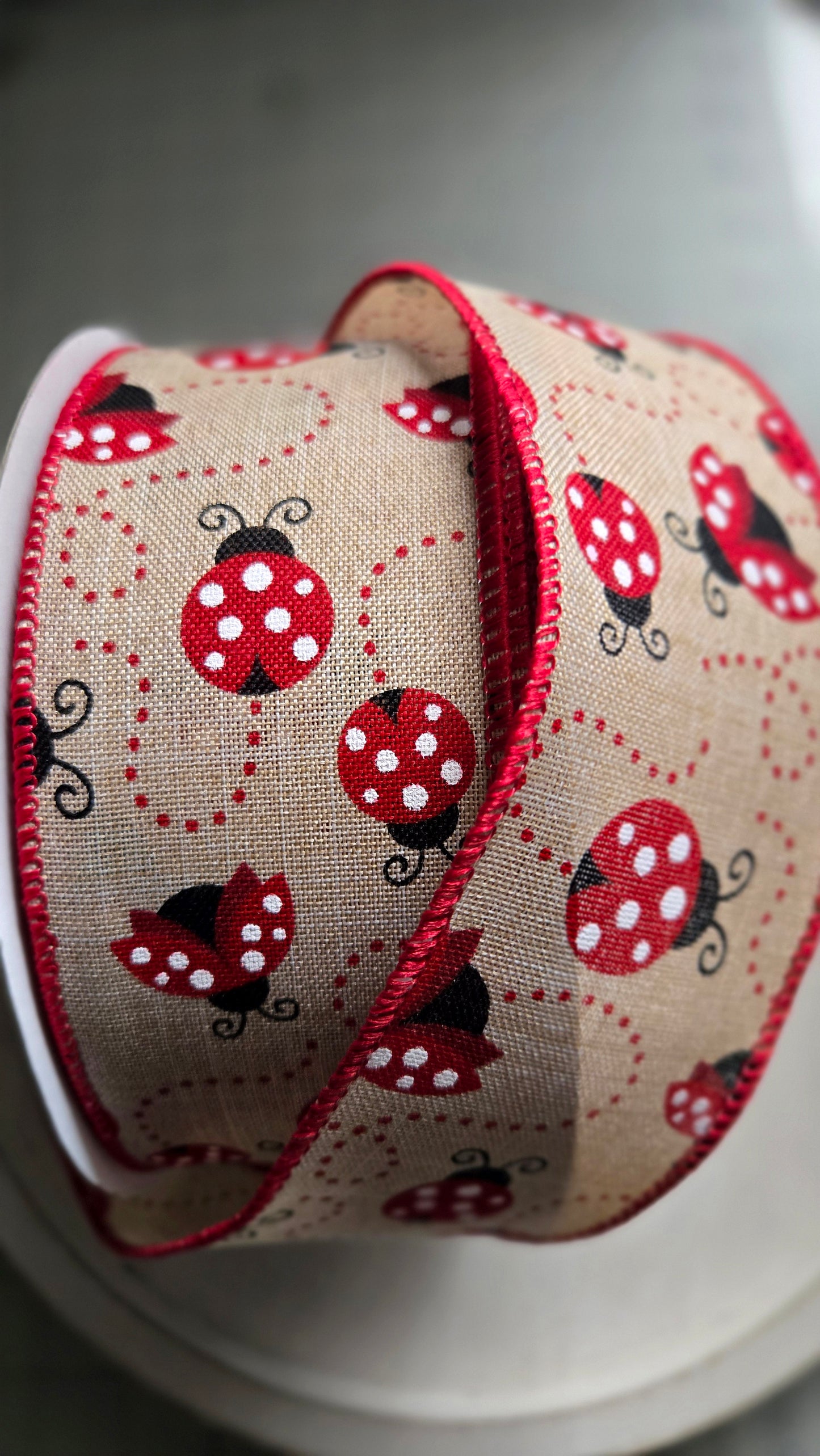 50 yard 2.5 inch Wired Spring Summer Ribbon - Multiple Options