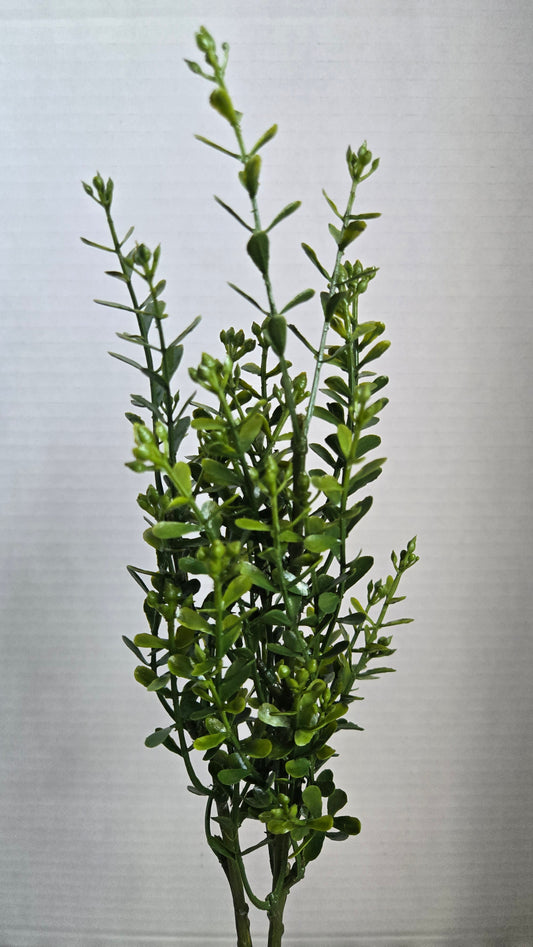 15" Mini Myrtle Bush - Artificial Greenery