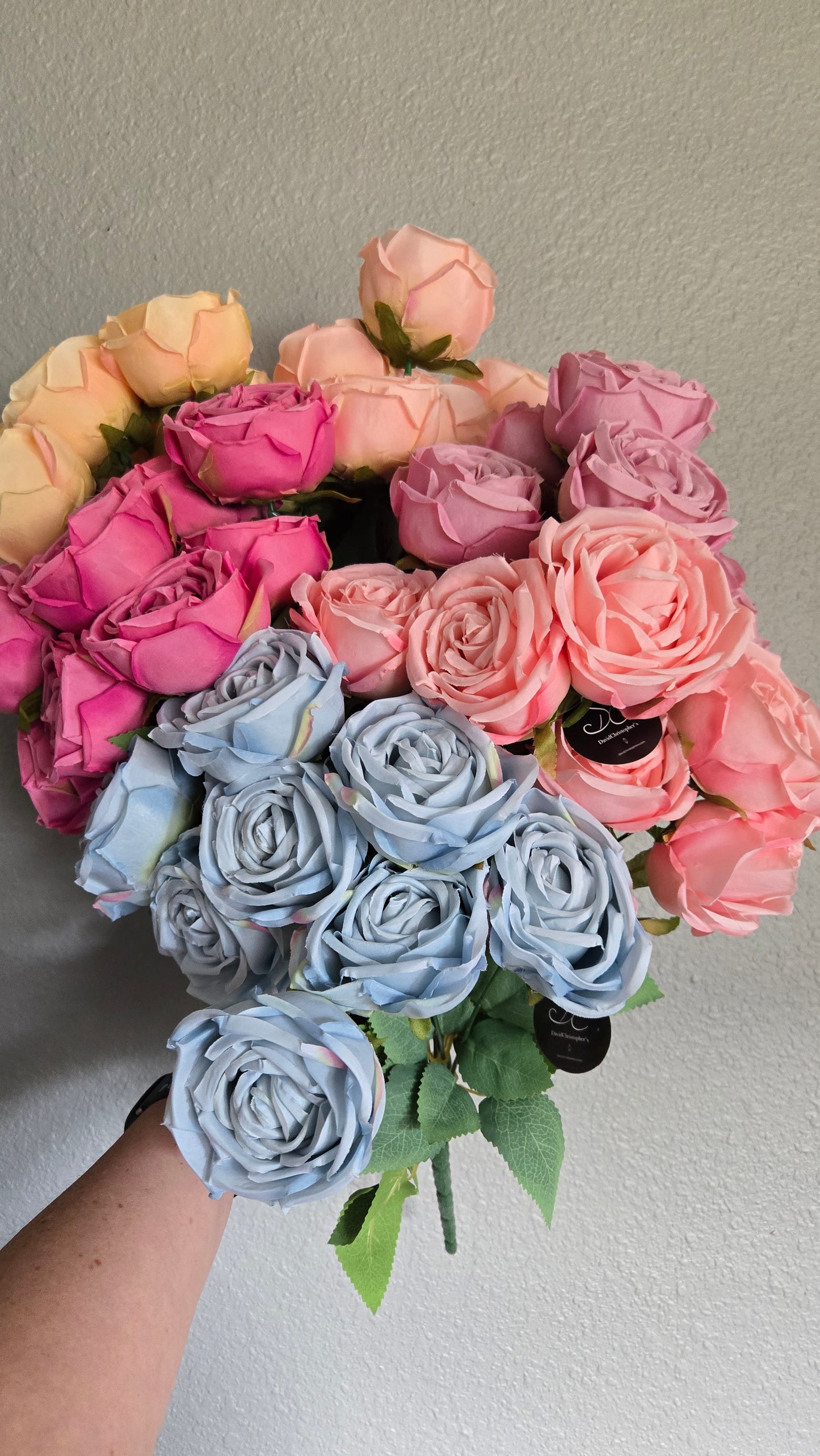 16" Cabbage Rose Bush - Multiple Colors