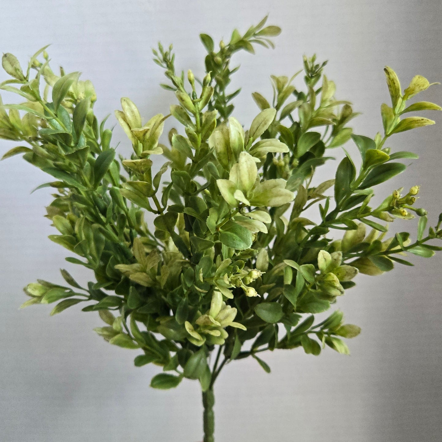 12" Boxwood Bush - Artificial Greenery