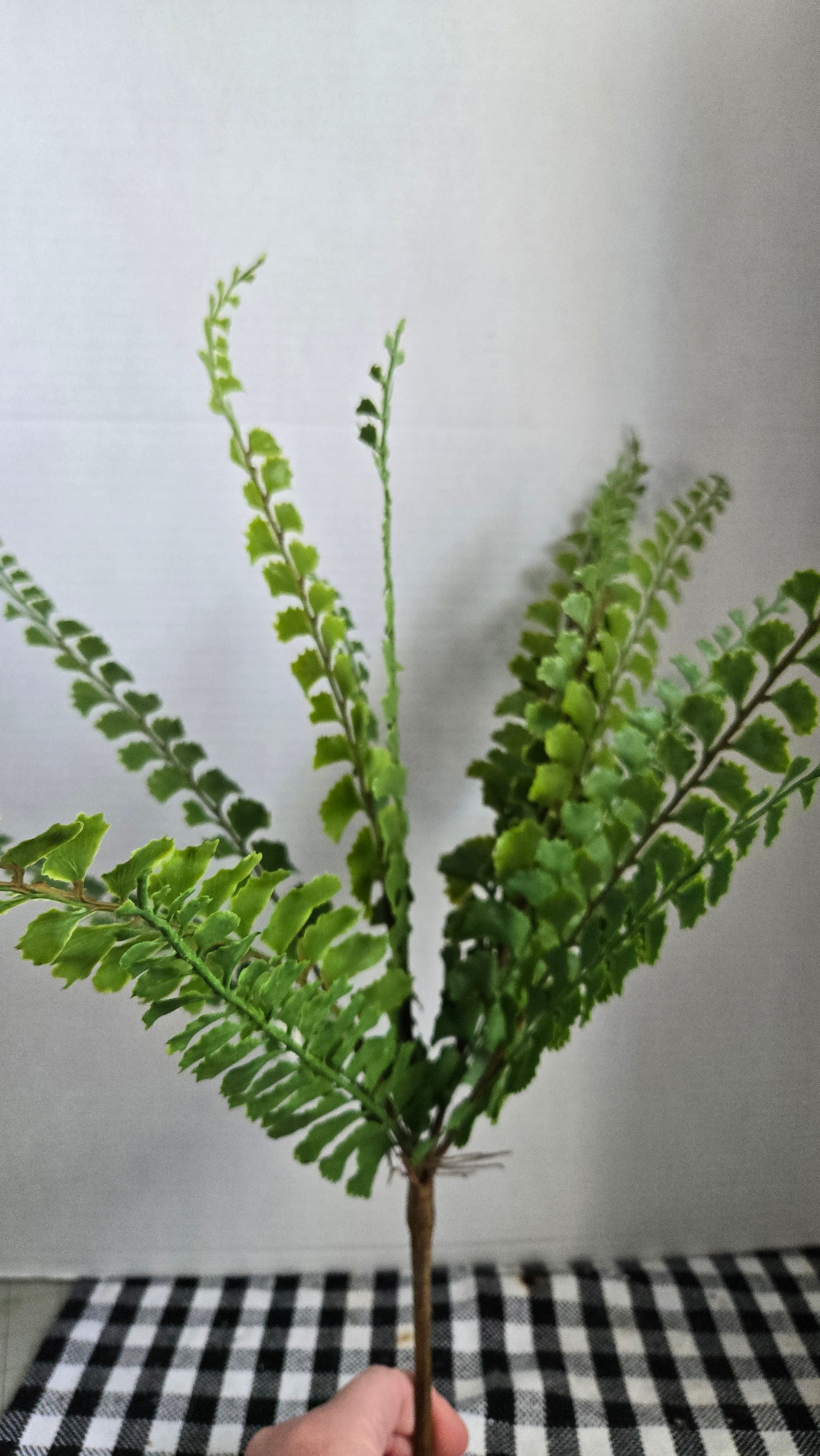 20" Real Touch Lace Fern Bush